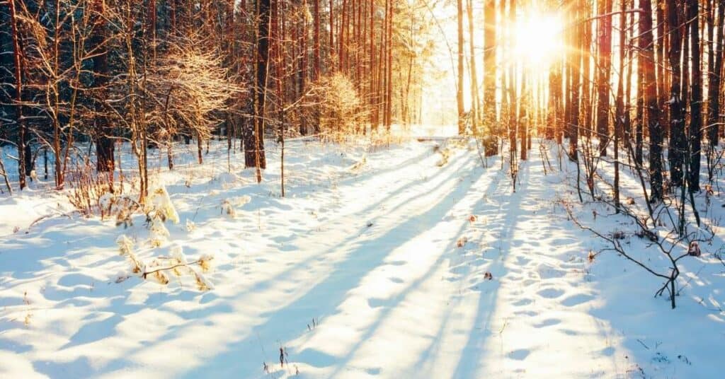 erlebnispädagogik_im_winter_tolle_spiele_und_übungen_für_groß_und_klein