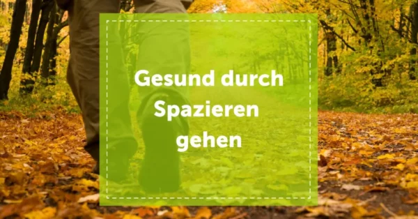 NEVEREST Blog Header Gesund durch Spazieren Gehen Wald